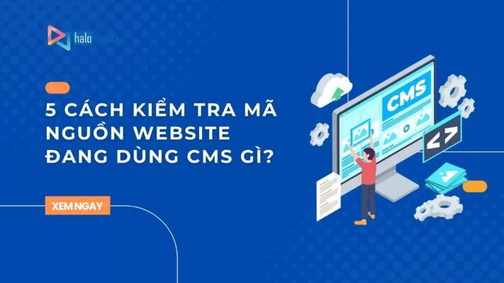 kiem tra ma nguon website thiết kế web Halo Media