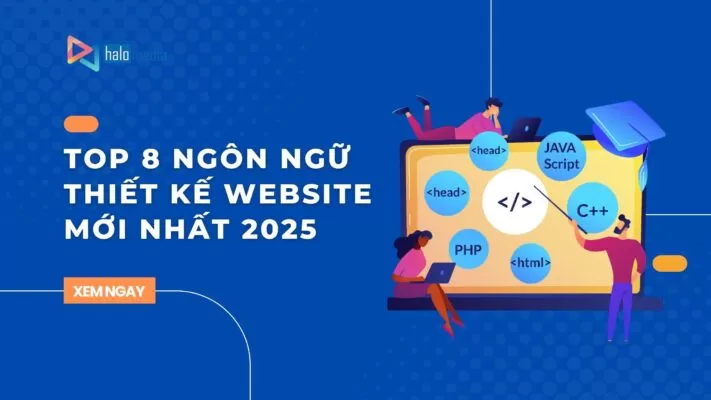ngon ngu thiet ke website thiết kế web Halo Media