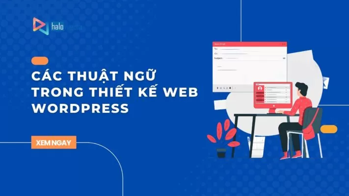 thuat ngu wordpress thiết kế web Halo Media