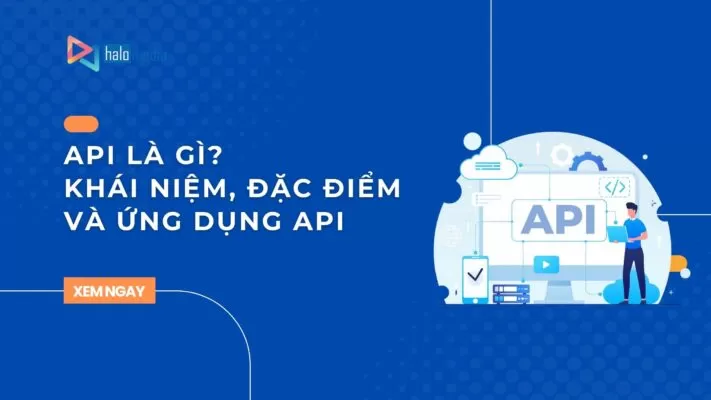 API la gi thiết kế web Halo Media